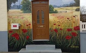 Les Coquelicots En Baie De Somme